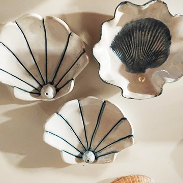 Cerâmica fria conchas