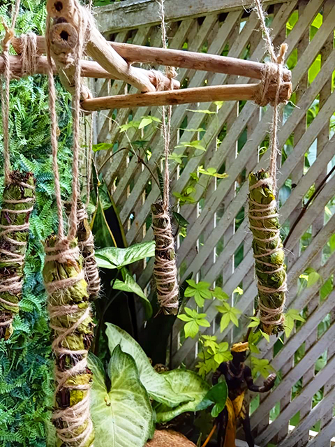 Incenso natutral pendurado em móbile pentagrama de galhos